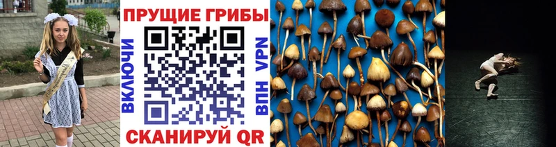 ОМГ ОМГ   Лысково  Псилоцибиновые грибы мицелий  что такое наркотик 